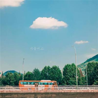 澳门一码一肖一特一中